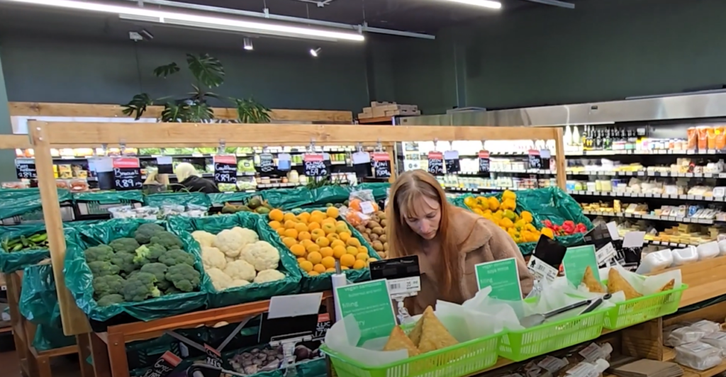 off-grid retail solar power organic zone 